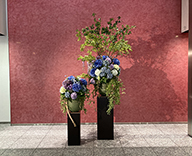 23 板橋区 エントランス アジサイ 造花 装飾 hitotoki 事例