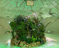 23 足立区 ギャラクシティ 観葉植物 室内 スポットレンタル 食虫植物 SEASONS 事例