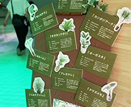 23 足立区 ギャラクシティ 観葉植物 室内 スポットレンタル 食虫植物 SEASONS 事例