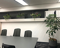 23 大阪市内 オフィス 観葉植物 受付 オフィスグリーン レンタル hitotoki 事例