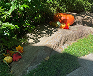 23 港区 エントランス ハロウィン 秋装飾 かぼちゃ SEASONS 事例