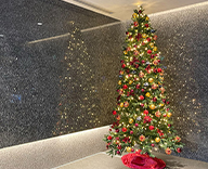 23 勝どき エントランス クリスマス装飾 イベント装飾 クリスマスツリー SEASONS 事例