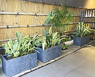 24 京都 庭園 和モダン 箱庭 プランター植栽 futatoki 事例