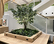 24 泉佐野市 センターテーブル 造木 イオンモール 下草装飾 SEASONS 事例