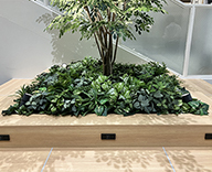 24 泉佐野市 センターテーブル 造木 イオンモール 下草装飾 SEASONS 事例