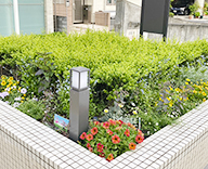 24 港区 花壇 ビューティカル 白金高輪 サンジャクバーベナ futatoki 事例
