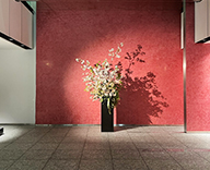 24 板橋区 エントランス 季節装飾 造花 フェイクグリーン装飾 hitotoki 事例