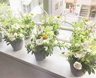24 中野 ホール 生花 装飾 ディスプレイ hitotoki 事例