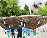 24 両国 都立横網町公園 花壇 植替え 花壇デザイン futatoki 事例