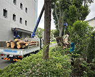 24 府中・大塚 外構植栽 造園 植栽管理 伐採 futatoki 事例