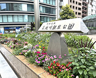 24 築地川銀座公園 花壇 サンビリーバブル ビューティカル 夏花壇 futatoki 事例