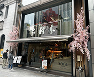 25 銀座 室内　屋外 桜 造花 本物 SEASONS 事例