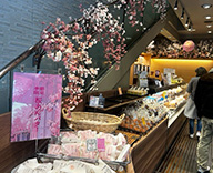 25 銀座 室内　屋外 桜 造花 本物 SEASONS 事例