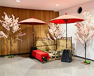 25 有明 客船ターミナル 春 桜 ピンク・白 SEASONS 事例