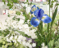 25 銀座 階段踊り場 装飾 造花 初夏 SEASONS 事例