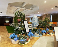 25 大阪市 休憩スペース 梅雨シーズン 紫陽花 尼崎市 SEASONS 事例