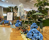 25 大阪市 休憩スペース 梅雨シーズン 紫陽花 尼崎市 SEASONS 事例