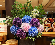 25 大阪市 店舗内 季節のお花 紫陽花 アートフラワー SEASONS 事例