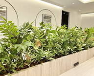 25 京都市 コーヒーショップ 四条通り 和風 山野草 SEASONS 事例