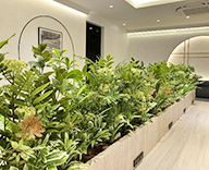 25 京都市 コーヒーショップ 四条通り 和風 山野草 SEASONS 事例