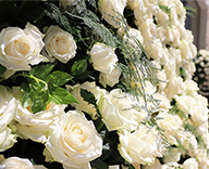 25 銀座3丁目 屋外 生花 白いばら お祝い花取りまとめ SEASONS 事例
