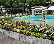 25 東京都 中央区 水とみどりの課 公園 じゃぶじゃぶ池 futatoki 事例
