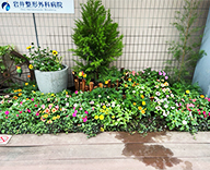 25 東京都 江戸川区 花壇植栽 季節装飾 憩いの場 futatoki 事例