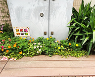 25 東京都 江戸川区 花壇植栽 季節装飾 憩いの場 futatoki 事例