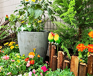 25 東京都 江戸川区 花壇植栽 季節装飾 憩いの場 futatoki 事例