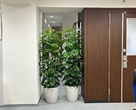 25 八丁堀 オフィス 観葉植物レンタル目隠し交換 目隠し 交換 hitotoki 事例