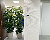 25 八丁堀 オフィス 観葉植物レンタル目隠し交換 目隠し 交換 hitotoki 事例