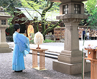 25 東京 マンション 七夕装飾 神社 短冊 SEASONS 事例