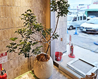 25 埼玉県 住宅展示場 レンタル 造花装飾 インテリア hitotoki 事例