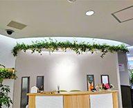 25 東京都内 ショールーム 造花 インテリア グリーン装飾 SEASONS 事例