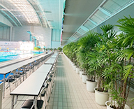 25 広島市 プール 観葉レンタル 植物 グリーン装飾 hitotoki 事例