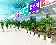 25 広島市 プール 観葉レンタル 植物 グリーン装飾 hitotoki 事例