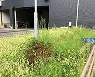 25 広島市 商業施設 植栽管理 除草 剪定 futatoki 事例