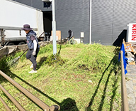 25 広島市 商業施設 植栽管理 除草 剪定 futatoki 事例