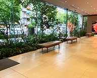 25 東京 エントランス オフィス装飾 観葉植物 植栽工事 SEASONS 事例