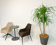 25 大阪市 イベントスペース 家具メーカー インテリア グリーンレンタル hitotoki 事例