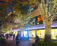 25 数寄屋橋公園 樹木 イルミネーション illumination 点灯 SEASONS 事例