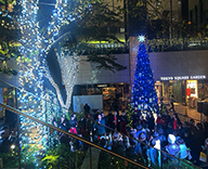 25 京橋 商業施設 クリスマスツリー イルミネーション デコレーション SEASONS 事例