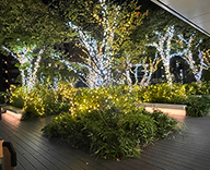 25 京橋 商業施設 クリスマスツリー イルミネーション デコレーション SEASONS 事例