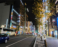 25 銀座 街路樹 イルミネーション 点灯式 松下奈緒 SEASONS 事例