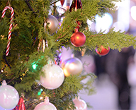 25 銀座 街路樹 イルミネーション 点灯式 松下奈緒 SEASONS 事例