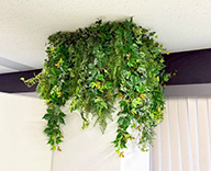 25 都内 オフィス グリーン 造花 装飾 SEASONS 事例