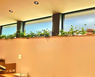 25 福岡 住宅展示場 大野城市 インテリア 観葉レンタル hitotoki 事例