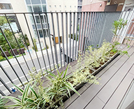 25 渋谷 バルコニー エバーグリーン 爽やか バルコニー futatoki 事例