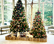 25 豊洲 エントランス クリスマス ノエル 装飾 SEASONS 事例