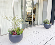 25 北参道 エントランス 草花 秋 ピンク hitotoki 事例